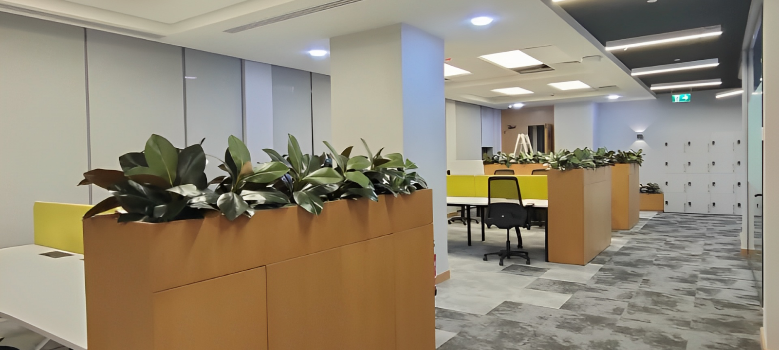 WhatsApp Image 2025-01-28 at 11.15.00_330de47a